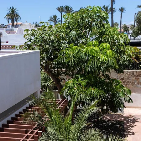 Fuentepark 3* Corralejo