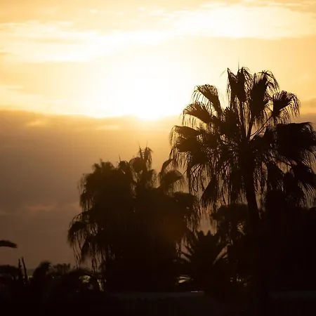 Fuentepark アパートホテル コラレホ