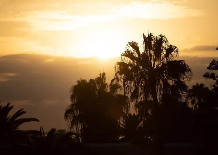 Fuentepark شقة فندقية كوراليهو